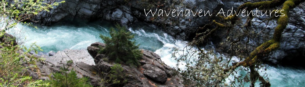 Wavehaven Adventures